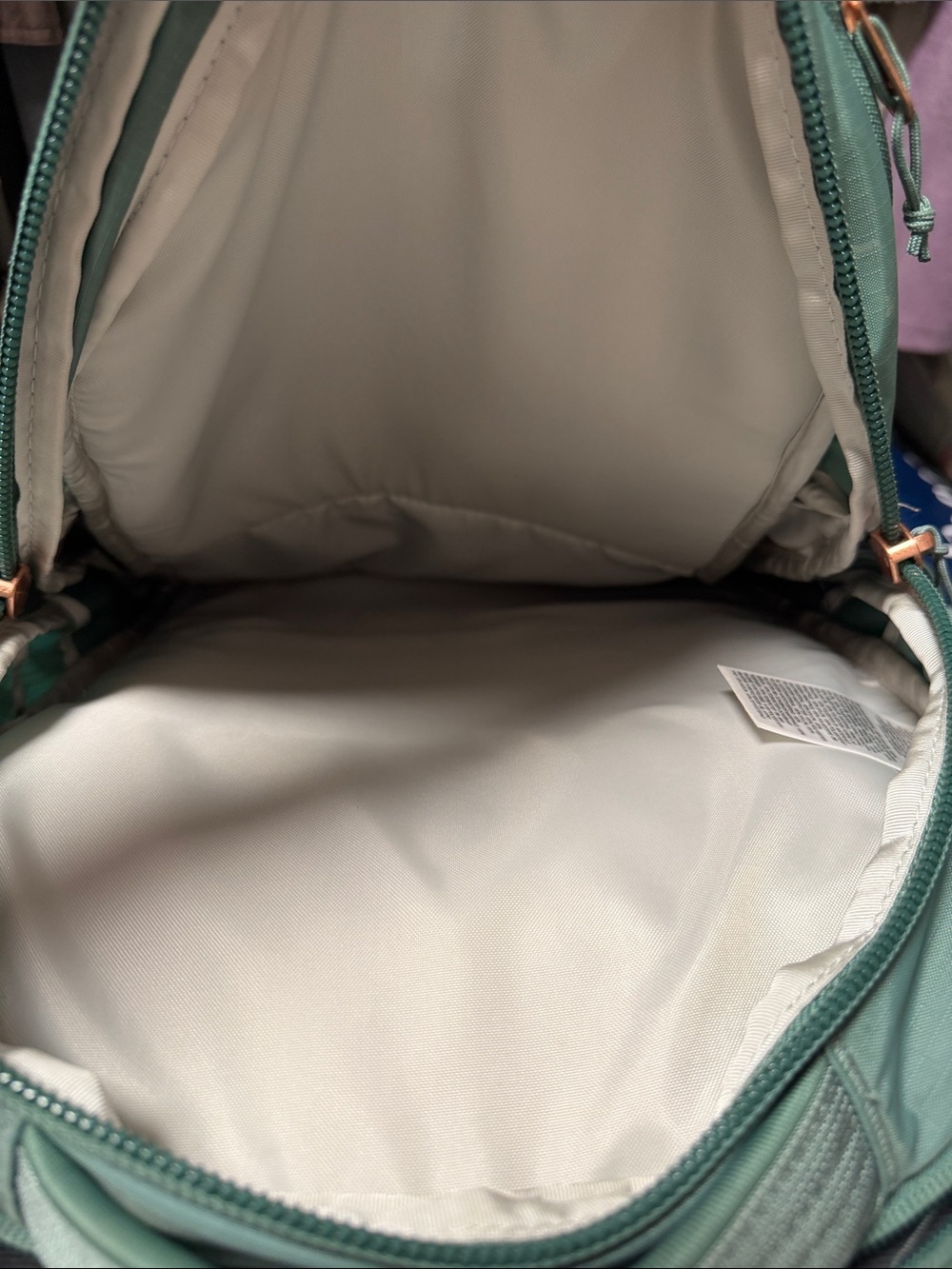 The North Face Surge Lux II Backpack - Teal - Picture 4 of 6